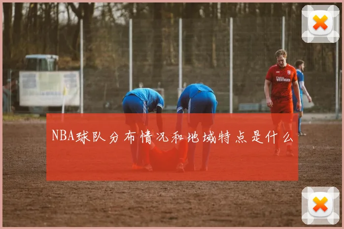 NBA球队分布情况和地域特点是什么