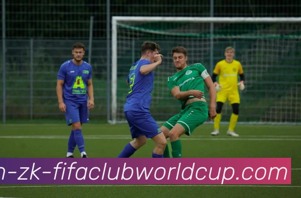 世界杯赛程平台生态图